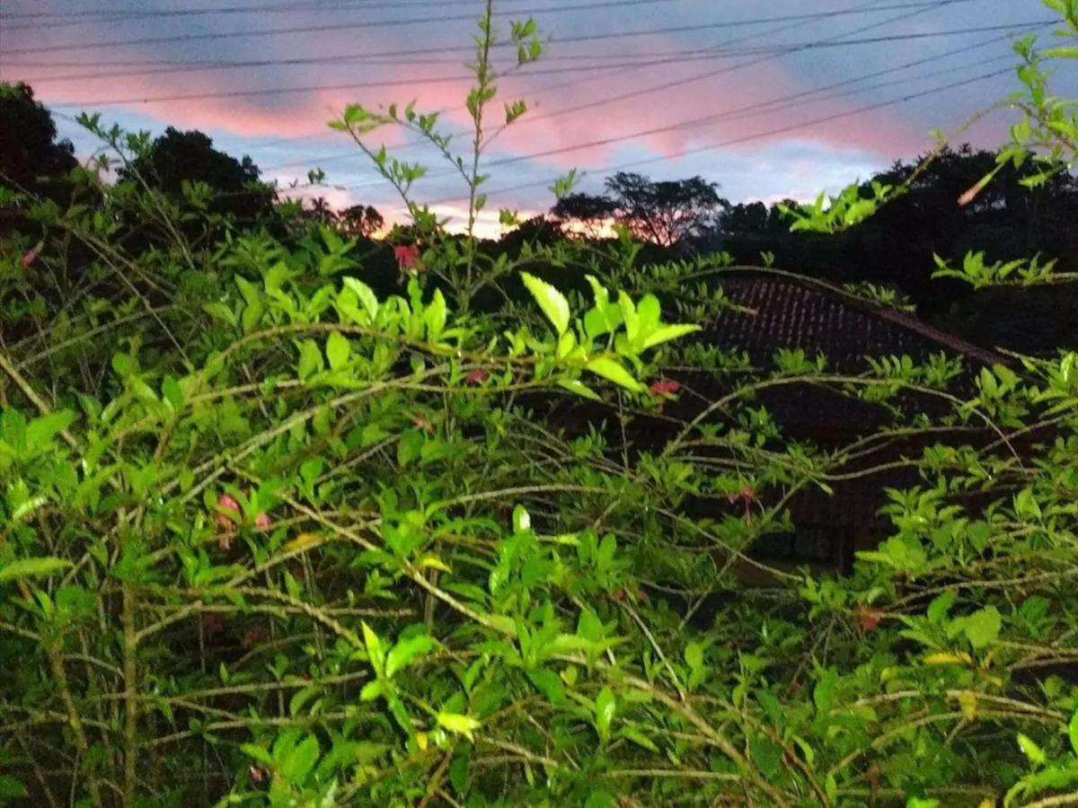 Rios Cristalinos Em Guapiacu Villa Cachoeiras de Macacu Luaran gambar